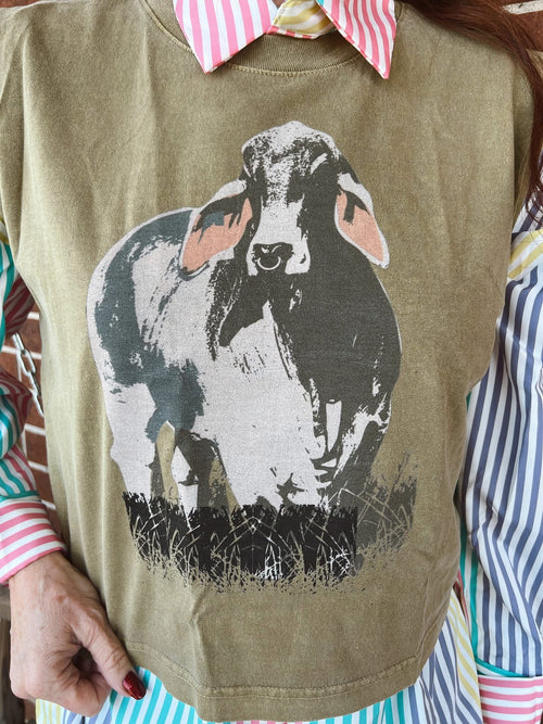 Brahma Graphic Tank